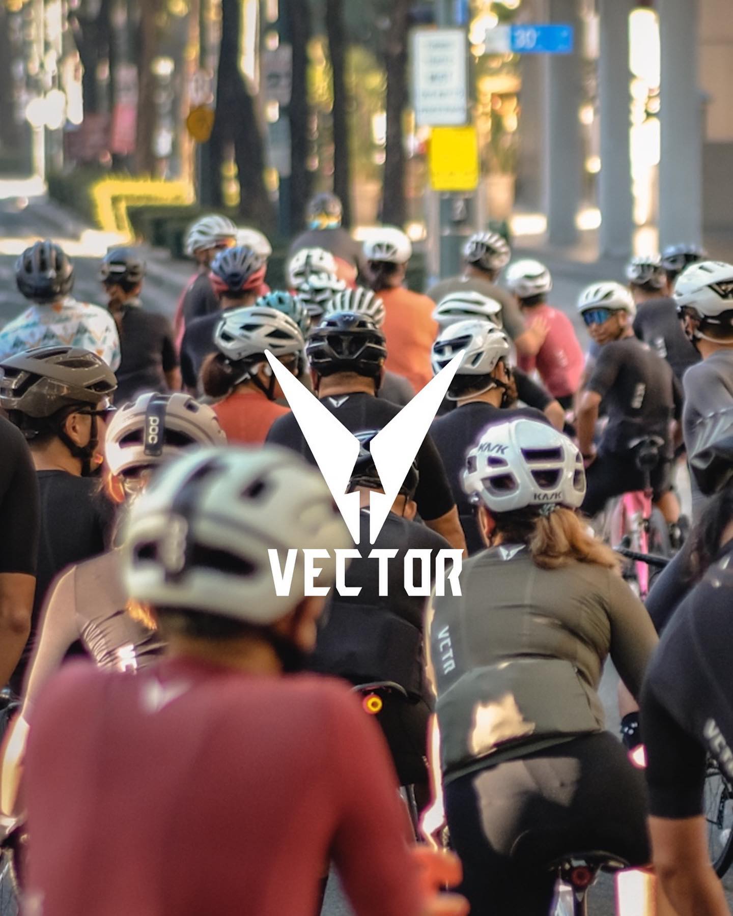 Cycle Tech Vector Welcome to Vector – Vector Cycling